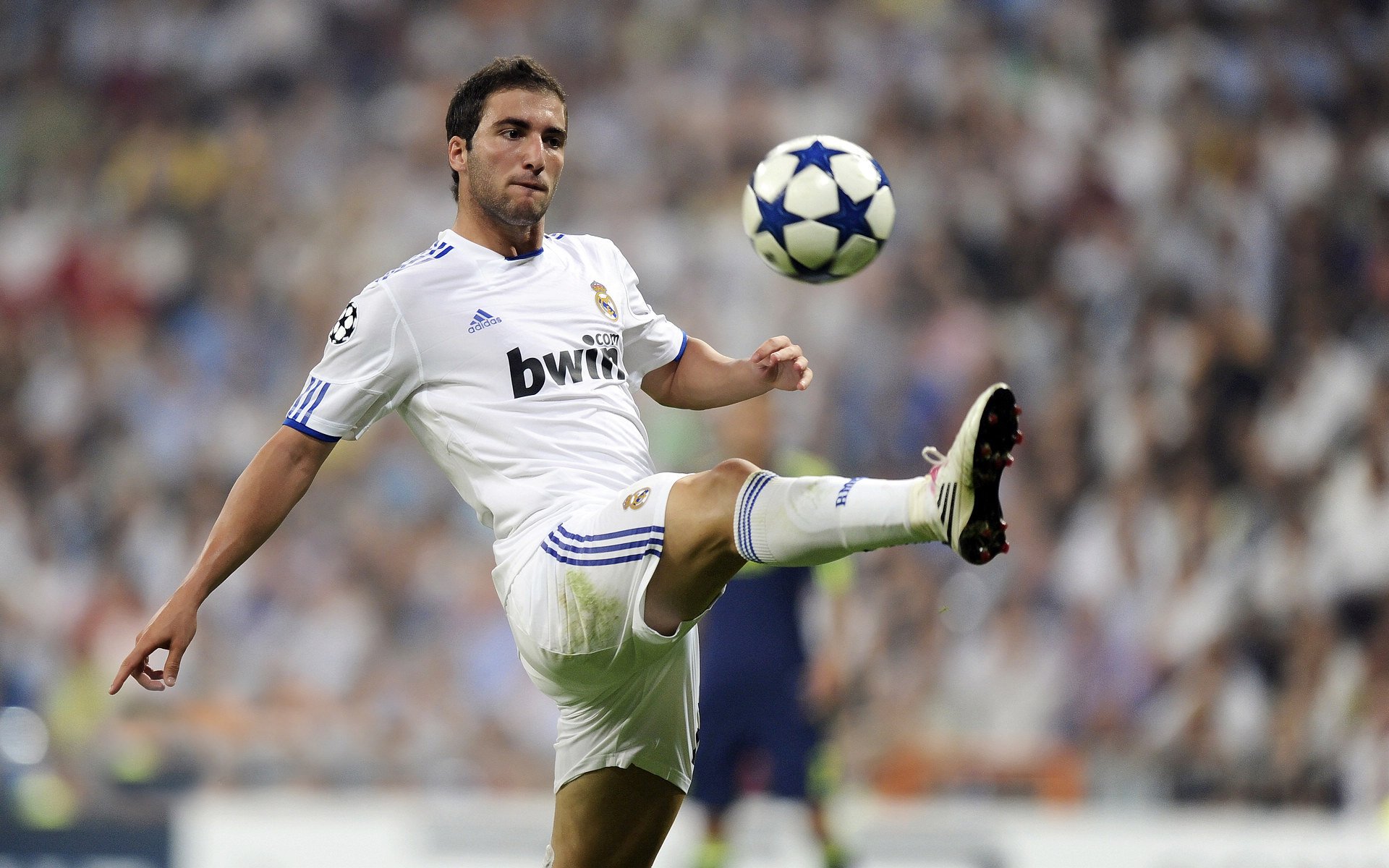 德约再次封王，笑容太轻松了，德约hl